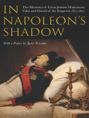 cover image of In Napoleon's Shadow